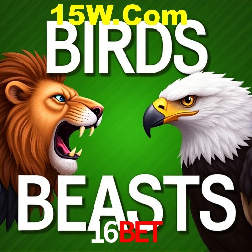 Apostas Esportivas na 16Bet: Um Guia Completo